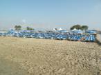  transats et parasols bleus